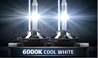 Żarnik xenon 6000K cool white